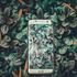 Bild: Ravi Kumar – Unsplash