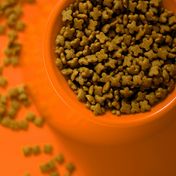 Bild: Daniel Dan - Unsplash