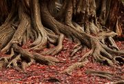 Bild: lmndlily - Adobe Stock Bild: lmndlily - Adobe Stock