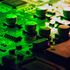 Bild: Vladislav Klapin – Unsplash