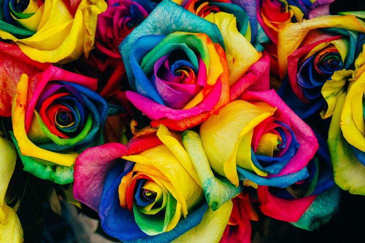 Bild: Denise Chan – Unsplash