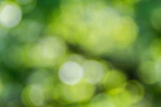 Bild: Artur Łuczka - Unsplash Bild: Artur Łuczka - Unsplash