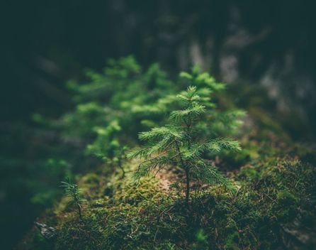 Bild: Matthew Smith – Unsplash