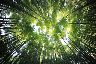 Bild: Kazuend 19 - Unsplash Bild: Kazuend 19 - Unsplash