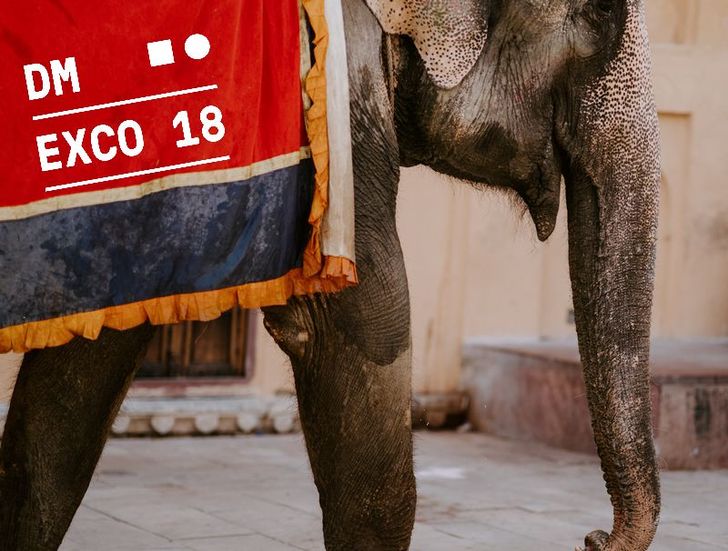 CCO, Photo by Annie Spratt on Unsplash, Bearbeitet: Redaktion ADZINE CCO, Photo by Annie Spratt on Unsplash, Bearbeitet: Redaktion ADZINE