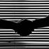 Bild: Savvas Stravrinos; CC0 - unsplash.com