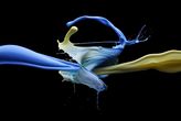 Bild: Andrey Polichenko - Adobe Stock Bild: Andrey Polichenko - Adobe Stock