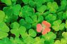 Dare to be different – Frauen in Adtech II
