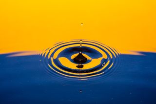 Bild: Izzy Gibson – Unsplash Bild: Izzy Gibson – Unsplash