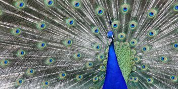 Bild: Sandra Würtinger – Unsplash