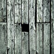 Bild: John Doyle – Unsplash