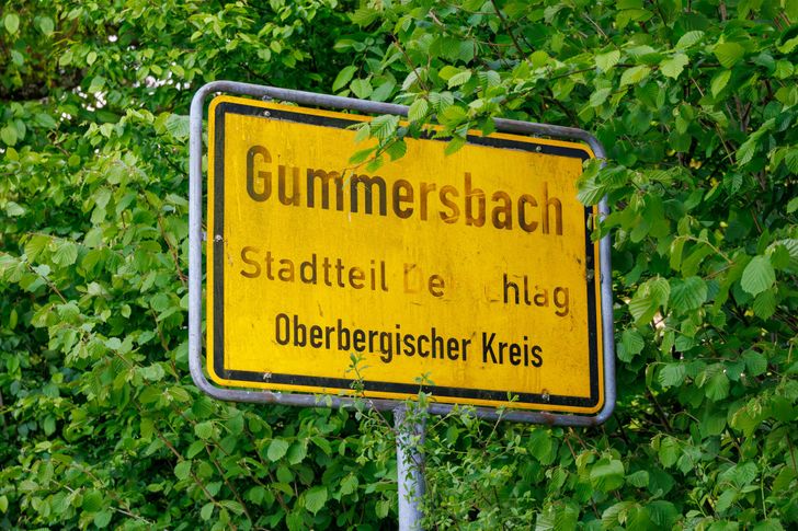 Bild: Stock Birken – Unsplash