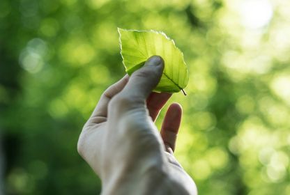 Bild: Tobias Weinhold - Unsplash
