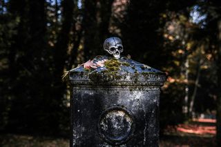 Bild: Sophia Müller – Unsplash Bild: Sophia Müller – Unsplash