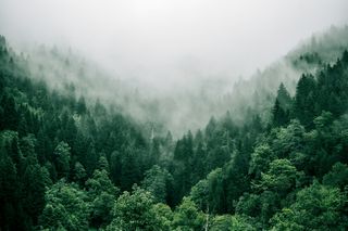 Bild: Marita Kavelashvili - Unsplash Bild: Marita Kavelashvili - Unsplash