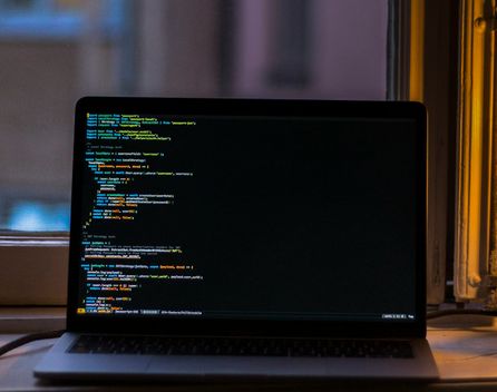 Bild: Oskar Yildiz – Unsplash