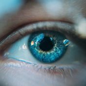 Bild: Ion Fet - Unsplash