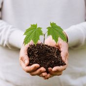 Bild: Madara – Unsplash | bearbeitet mit KI (ChatGPT), Bild: Madara – Unsplash | bearbeitet mit KI (ChatGPT)