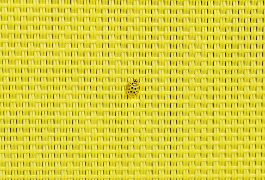 Bild: ina.mija - photocase.de Bild: ina.mija - photocase.de