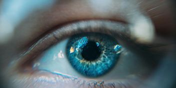 Bild: Ion Fet - Unsplash