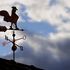 Bild: Bertold Werkmann - Adobe Stock