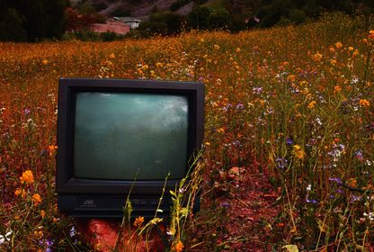 Bild: Alex Meza – Unsplash
