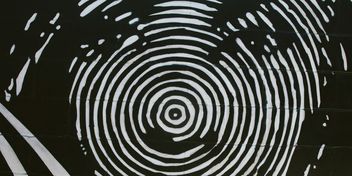 Bild: Noelle Rebekah - Unsplash