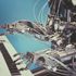 Bild: Photos Hobby - Unsplash