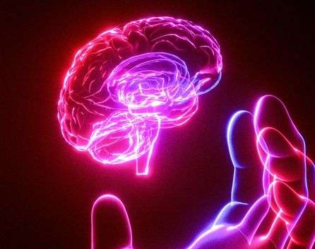 Bild: TSD Studio - Unsplash