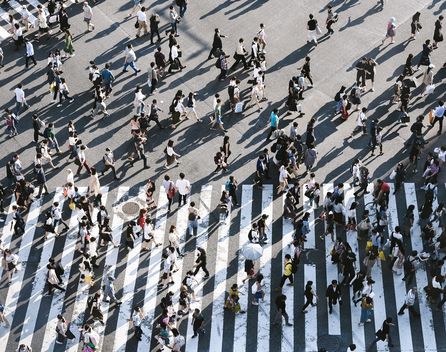 Bild: Ryoji Iwata – Unsplash