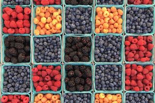 Bild: William Felker - Unsplash Bild: William Felker - Unsplash