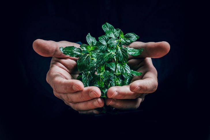 Bild: Jan Kopriva - Unsplash Bild: Jan Kopriva - Unsplash