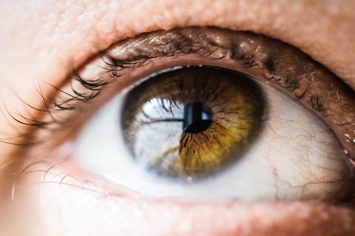 Bild: Vanessa Bumbeers - Unsplash Bild: Vanessa Bumbeers - Unsplash