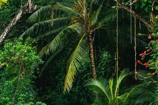 Bild: Kevin Kruger - Unsplash
