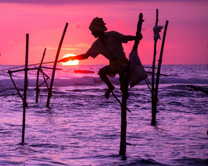 surangaw, Adobe Stock surangaw, Adobe Stock