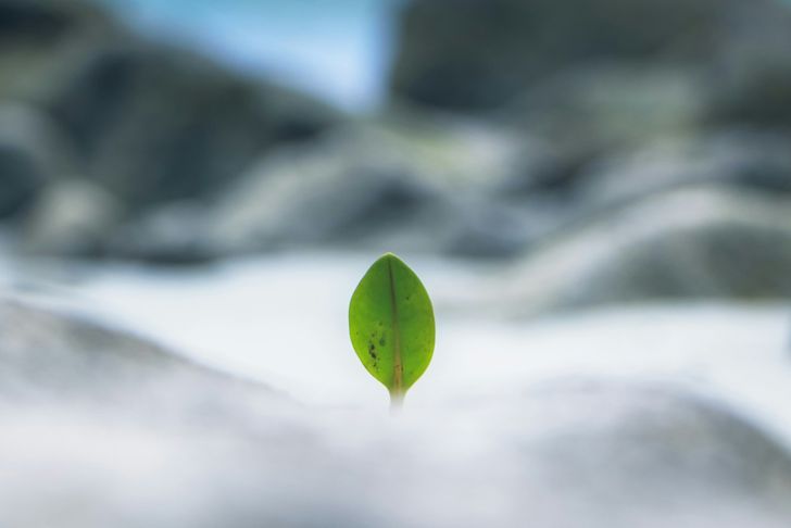 Bild: Pinakeen Bhatt – Unsplash