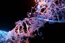Interview mit Sven Ruppert, Splicky
 - Eine DSP mit Mobile-DNA in der heutigen Omnichannel-Welt
