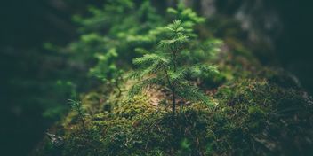 Bild: Matthew Smith – Unsplash