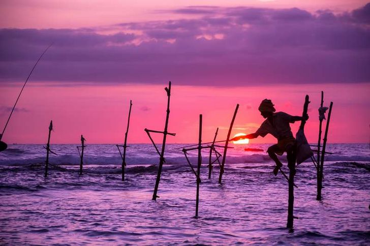 surangaw, Adobe Stock Adobe Stock