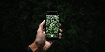 Bild: Ryunosuke Kikuno – Unsplash, bearbeitet mit KI/ChatGPT, Bild: Ryunosuke Kikuno – Unsplash, bearbeitet mit KI/ChatGPT