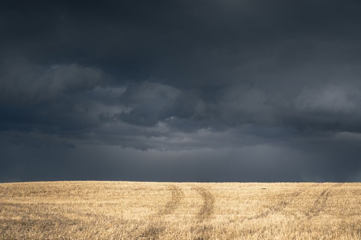 Bild: Igor Kyryliuk – Unsplash Bild: Igor Kyryliuk – Unsplash