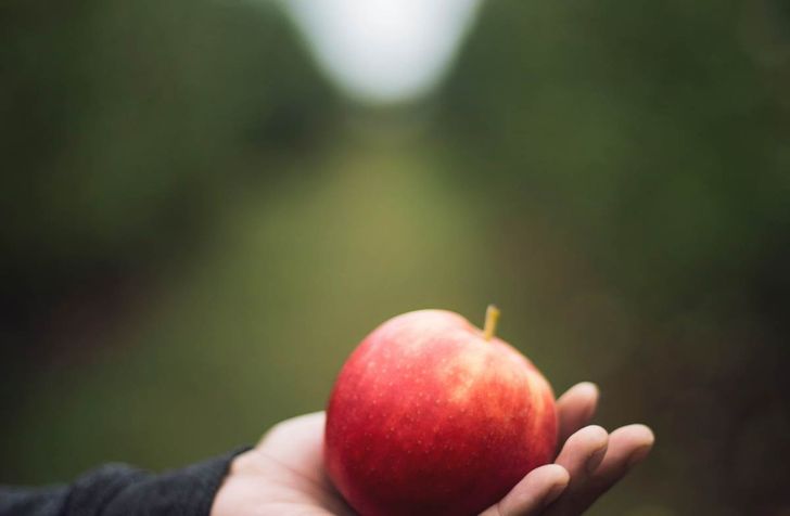 Bild: Kari Shea;CC0 - Unsplash Bild: Kari Shea;CC0 - Unsplash