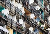 Bild: Ingo Bartussek - Adobe Stock Bild: Ingo Bartussek - Adobe Stock