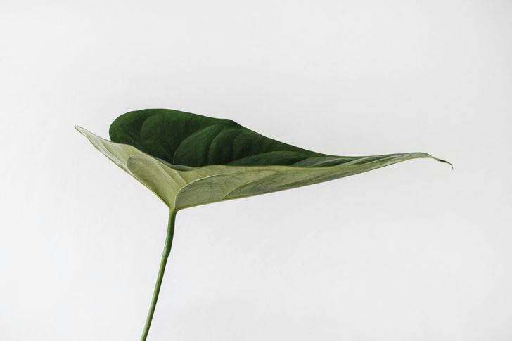 Bild: Sarah Dorweiler – Unsplash Bild: Sarah Dorweiler – Unsplash