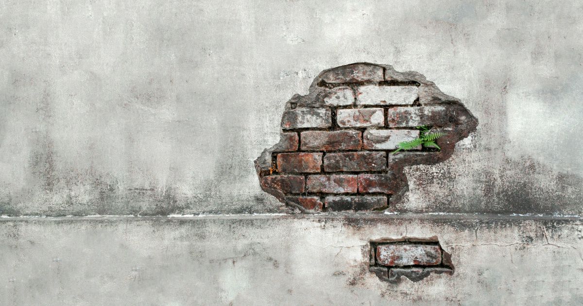 Jenseits-der-Performance-Wand-Warum-D2C-Brands-ohne-Branding-ihre-Skalierung-riskieren