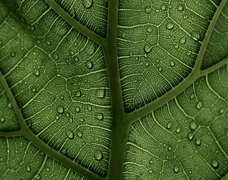 Bild: Clay Banks – Unsplash