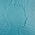 Bild: Pogonici - Adobe Stock