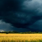 Bild: Yan Laurichesse - Unsplash