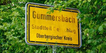 Bild: Stock Birken – Unsplash