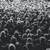 Bild: Davide Ragusa – Unsplash